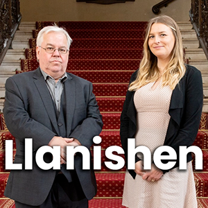 Llanishen ward